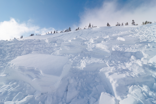 Must Haves For Avalanche Safety When Backcountry Sledding and How to Use Them