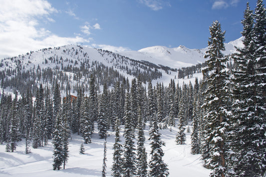 Marmot Basin